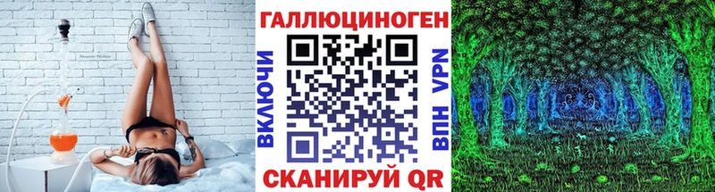 Псилоцибиновые грибы Cubensis omg как войти Старая Русса